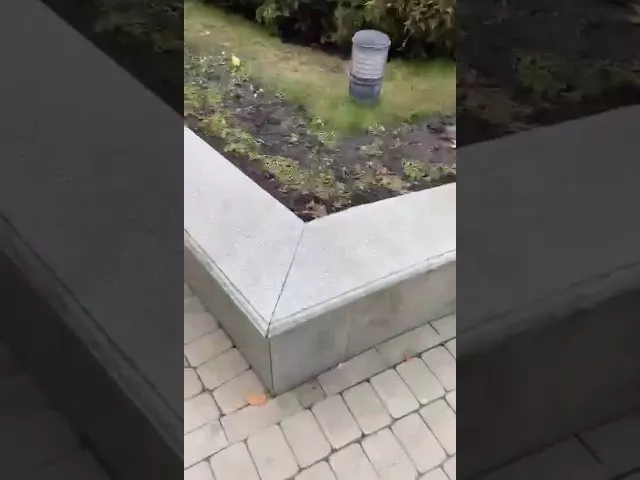 Мусор - это все что осталось от митинга.