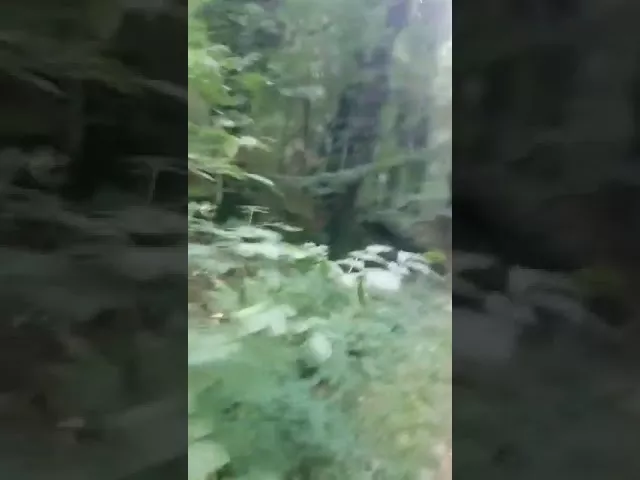 В Сочи продолжаются поиски пропавших в горах детей и взрослых