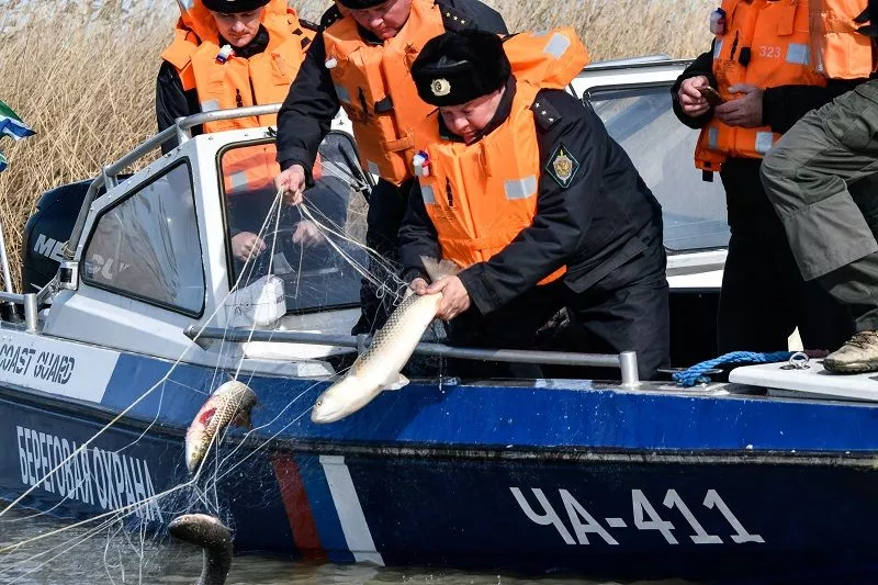 С 1 марта по 31 мая азовские лиманы Краснодарского края являются запретными для вылова водных биоресурсов.