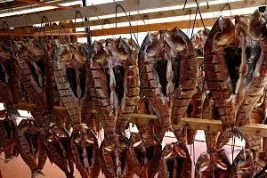 Экспорт продукции АПК вырос с 1,77 млрд. долларов в 2016 году до 2,5 млрд. долларов в 2019-м. Экспорт продукции АПК вырос с 1,77 млрд. долларов в 2016 году до 2,5 млрд. долларов в 2019-м.