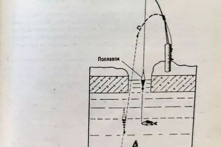 Снасть "окунёвка" для зимней рыбалки. Снасть "окунёвка" для зимней рыбалки.