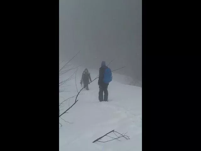 Спасатели нашли сноубордистку в Сочи