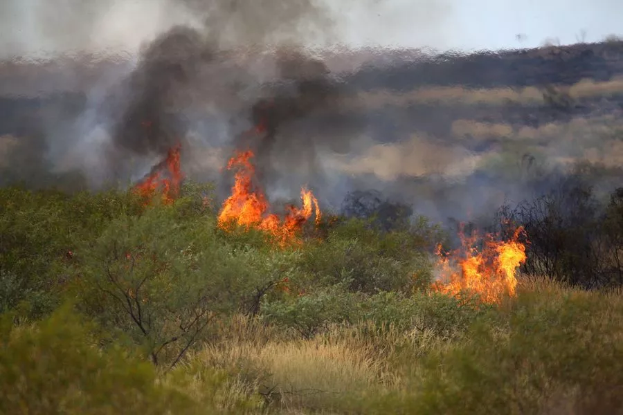 Австралия – это пример экологического и автотуризма. Австралия – это пример экологического и автотуризма.
