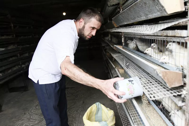 Свою перепелиную ферму 33-летний житель хутора Бабиче-Кореновского Кореновского района Виктор Кадыков построил буквально с нуля. 