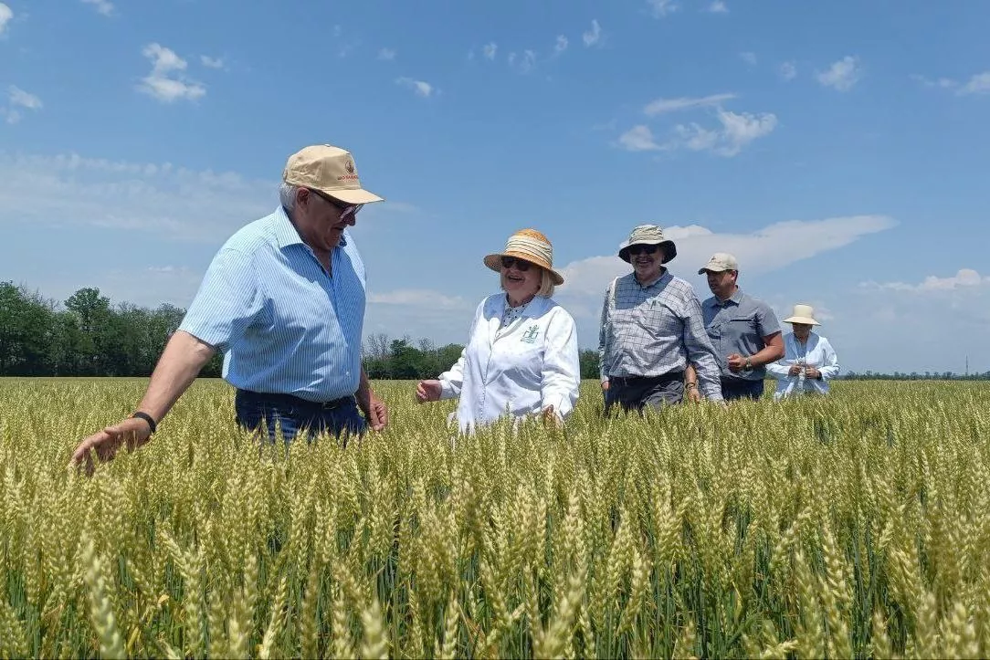 Руководитель агрохолдинга Николай Лоцманов и академик РАН Людмила Беспалова на демонстрационном участке семян.