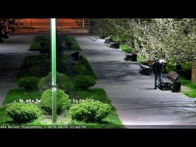 Платановый бульвар, цветочные воры