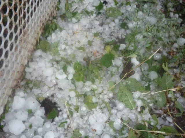 Град в Краснодарском крае повредил поля, дома и машины. Град в Краснодарском крае повредил поля, дома и машины.