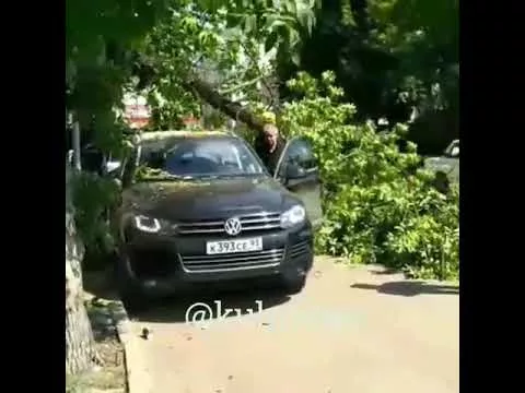 Ветка упала на иномарку на ул. Советской