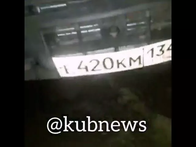 Медведица в Краснодаре. 18 декабря 2018 год.