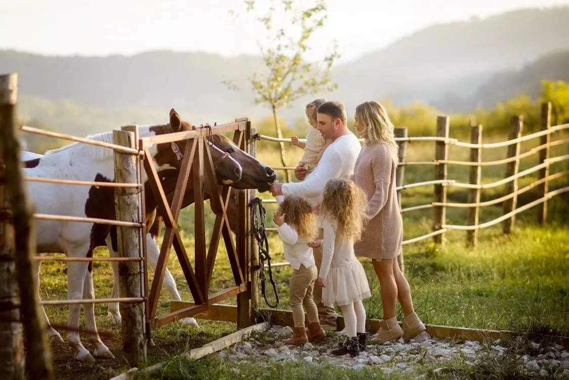 Сегодня на экоферме Экзархо с удовольствием встречают туристов со всех уголков мира. Сегодня на экоферме Экзархо с удовольствием встречают туристов со всех уголков мира.