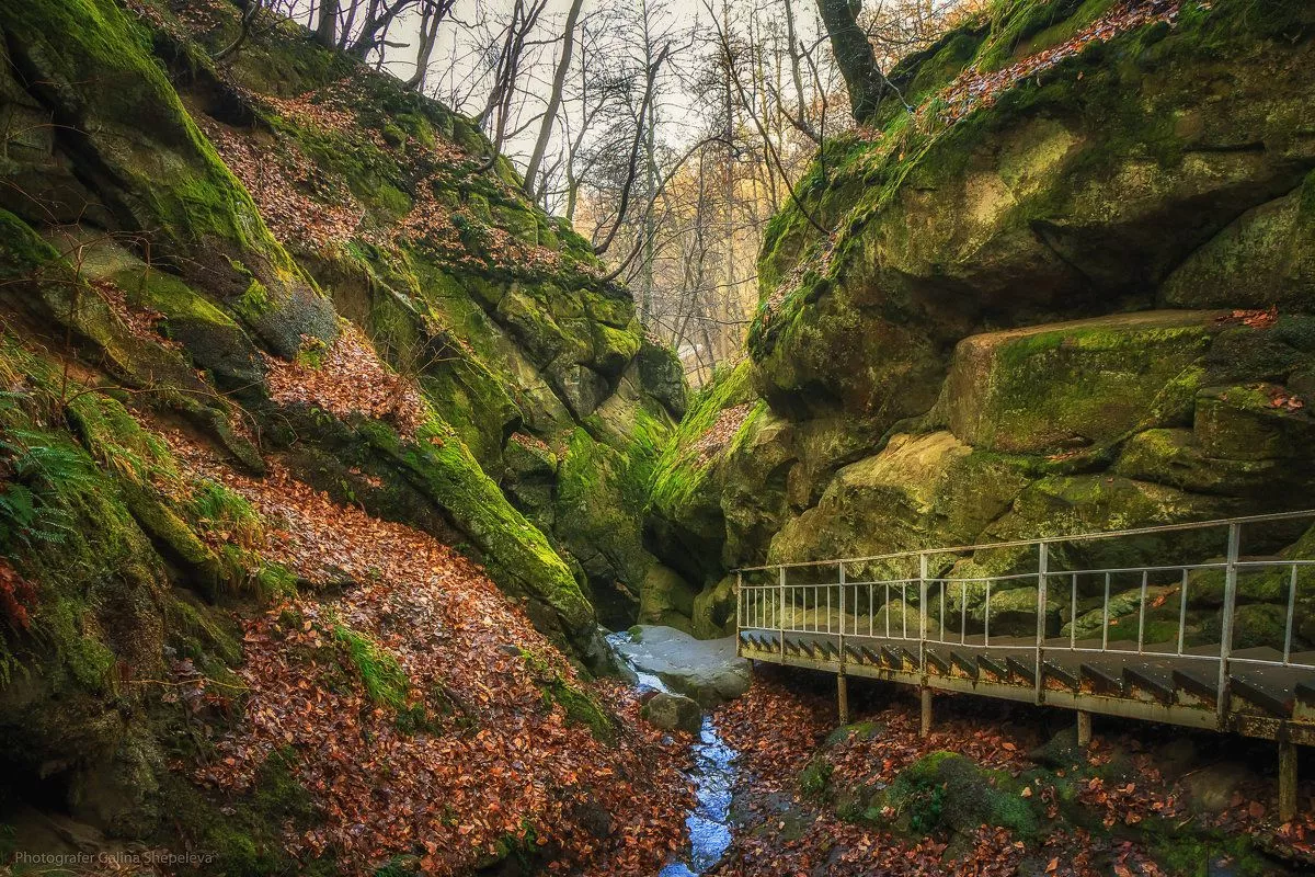 Дантово ущелье Дантово ущелье