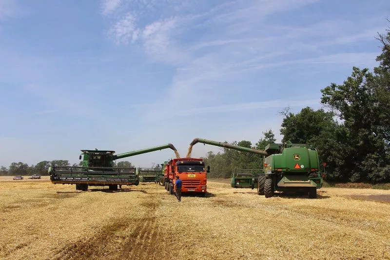 ЗАО им. Т. Шевченко уделяет особое внимание отечественному семеноводству, выращивая на своих полях кубанские сорта озимой пшеницы. ЗАО им. Т. Шевченко уделяет особое внимание отечественному семеноводству, выращивая на своих полях кубанские сорта озимой пшеницы.