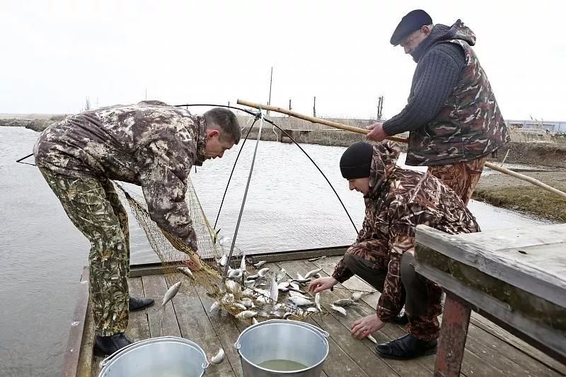 В 2020 году в водоемы региона будет выпущено не менее 3 млн. экземпляров растительноядных рыб. В 2020 году в водоемы региона будет выпущено не менее 3 млн. экземпляров растительноядных рыб.