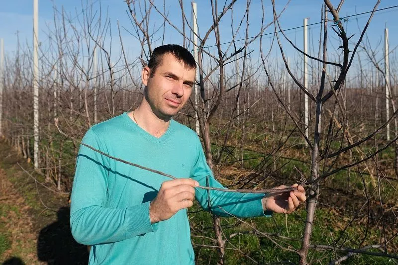 Дмитрий Молчанов