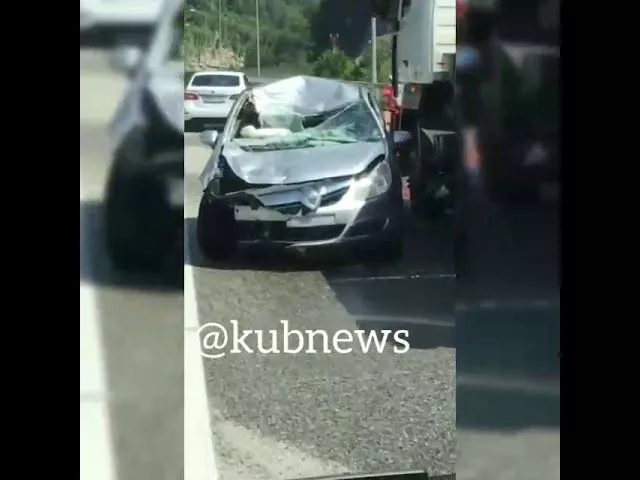 ДТП с лошадью, Сочи