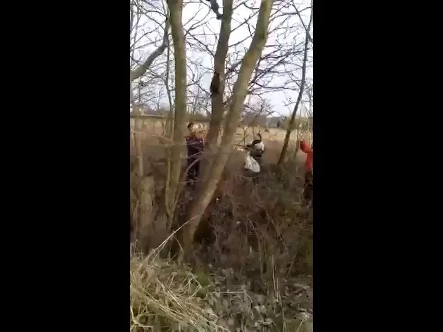 Спасение енота в Красноармейском районе. Февраль 2019 года.