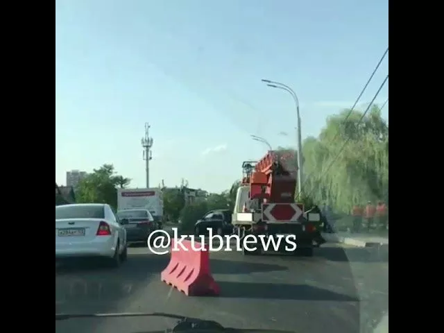 Дерево упало на проезжую часть в Краснодаре
