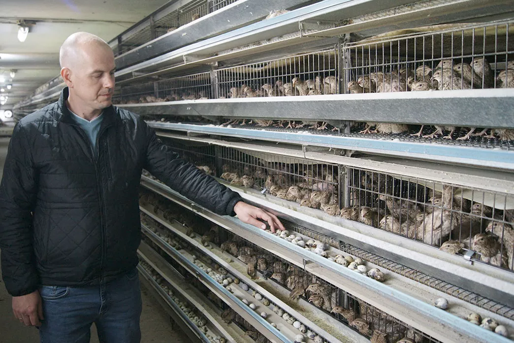 Предприятие «Эллипс» успешно представило Новопокровский район в краевом конкурсе в области качества «Сделано на Кубани». Предприятие «Эллипс» успешно представило Новопокровский район в краевом конкурсе в области качества «Сделано на Кубани».