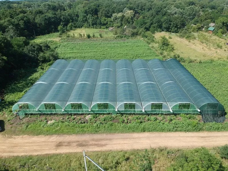 В строительство теплиц вложено 1 млн. 300 тыс. рублей собственных средств. 