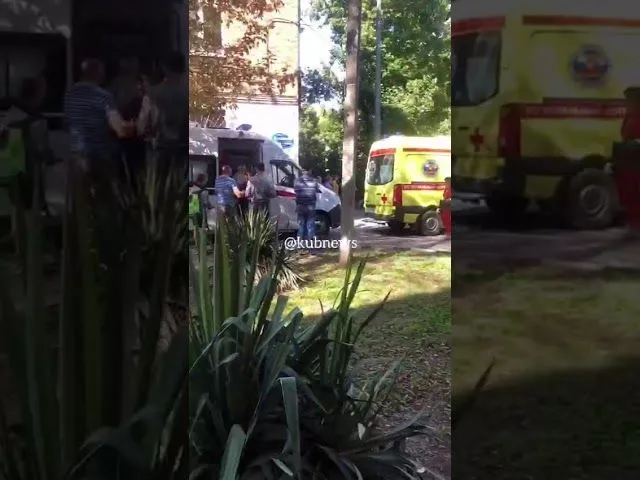 Дерево упало на территории детского сада в Краснодаре