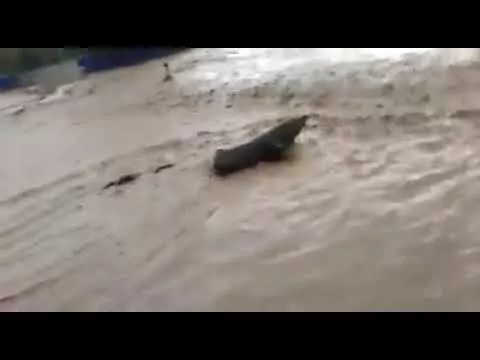 Ливень затопил станицу Баговскую