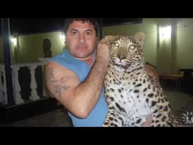 АГИЛ АББАСОВ