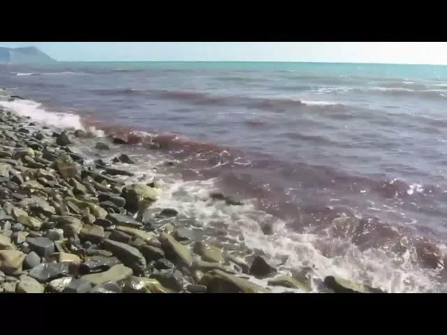 Море стало красным у берегов Анапы