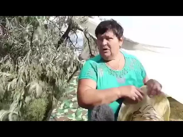 Бугазская коса. Видео: Анапа Регион