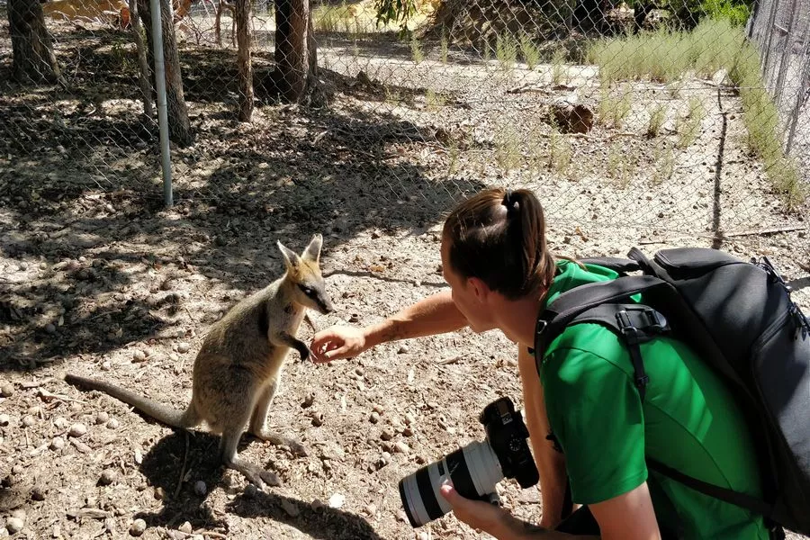 За время экспедиции путешественникам удалось наблюдать около 150 видов животных. За время экспедиции путешественникам удалось наблюдать около 150 видов животных.