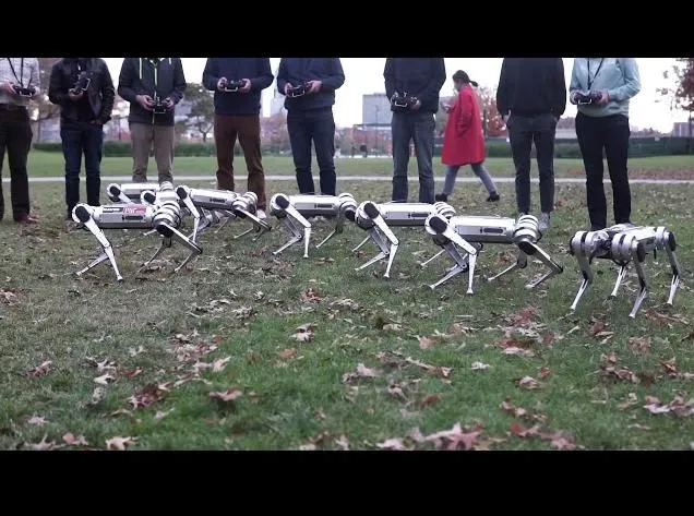 Testing 9 New Mini Cheetahs