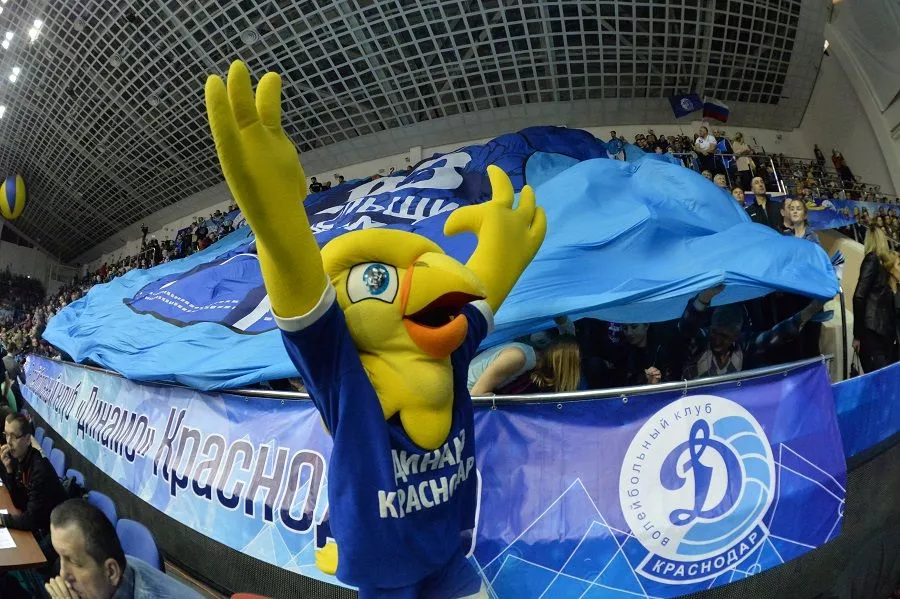 Талисманом краснодарскому волейбольному клубу «Динамо» служит ястреб.