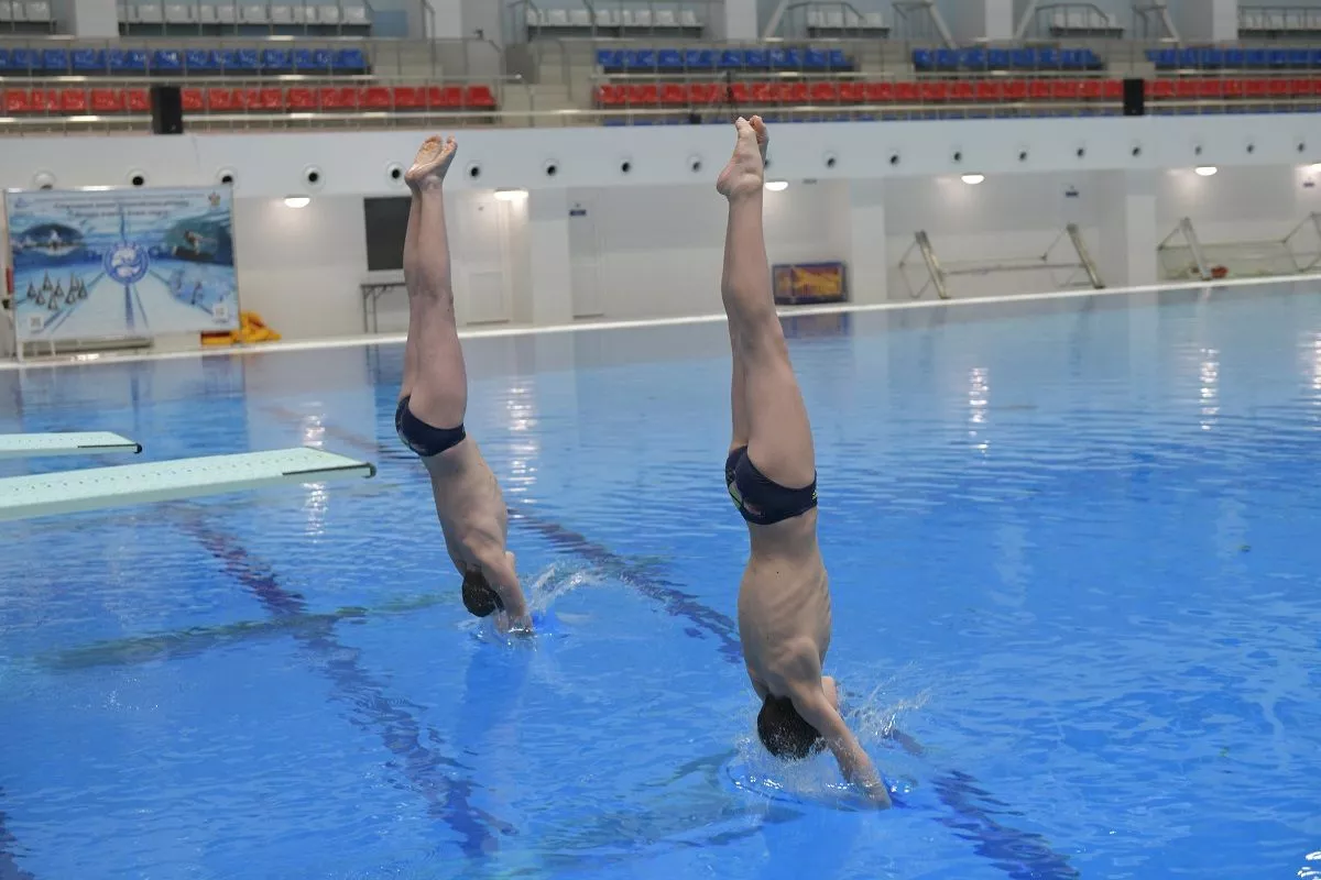 Скорость полета прыгуна в воду может достигать 35–50 километров в час.