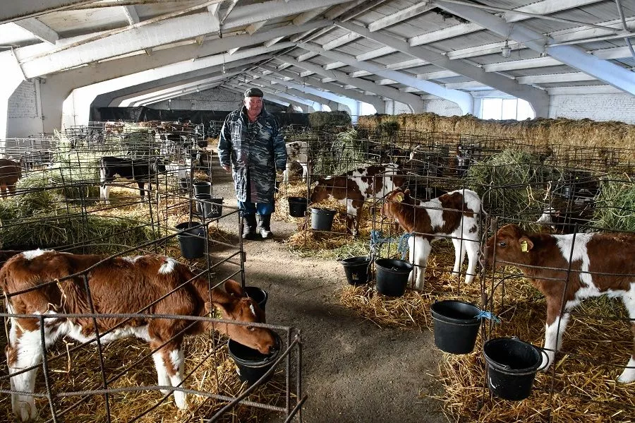 Особенно покорил телятник, с которым познакомились, побывав на ферме. Особенно покорил телятник, с которым познакомились, побывав на ферме.