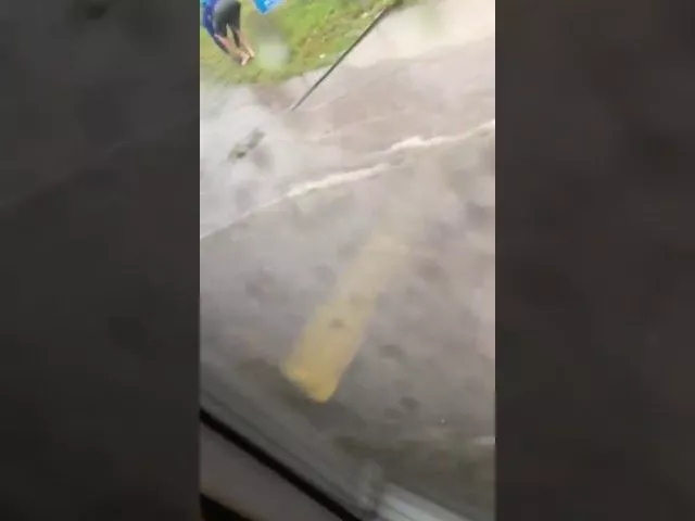 Улица Московская утром 19 августа