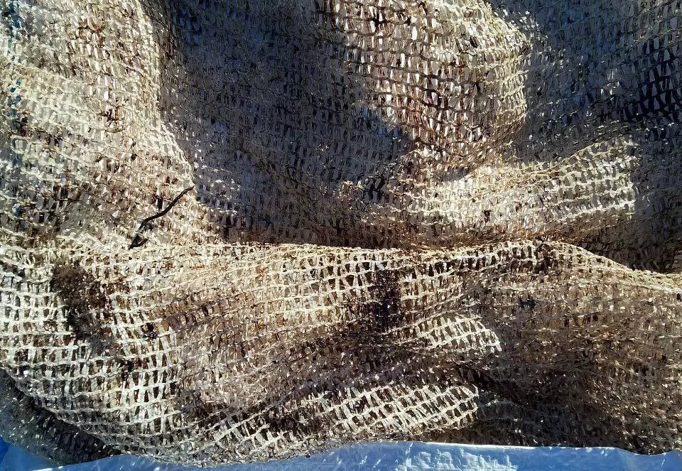 Авоська после отмывания гальки. Авоська после отмывания гальки.