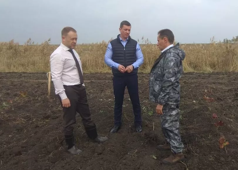 Сергей Болдин на месте высадки сеянцев красного дуба