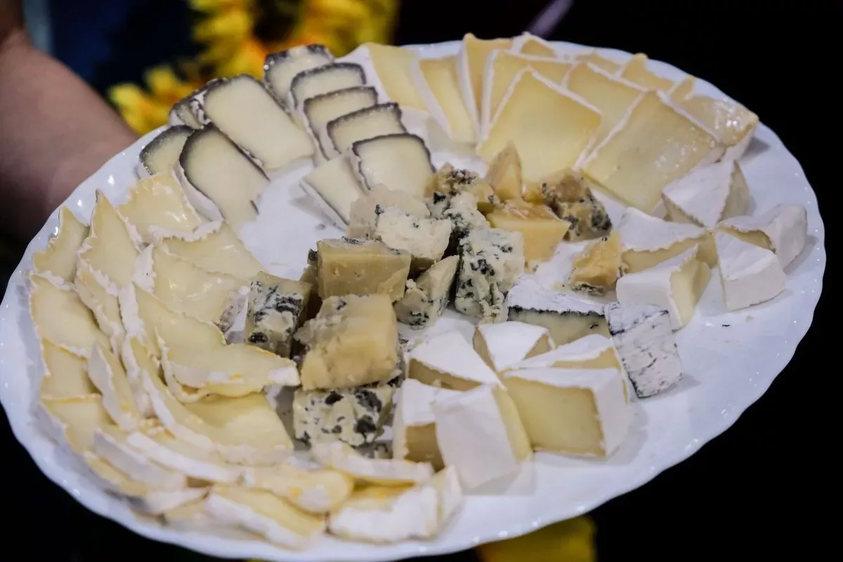 Кубанские фермеры научились делать вкуснейшие деликатесные сыры из козьего и овечьего молока. Кубанские фермеры научились делать вкуснейшие деликатесные сыры из козьего и овечьего молока.
