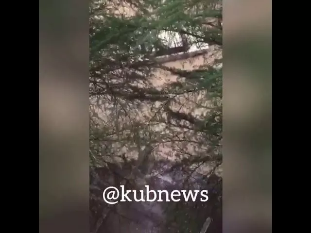 Кудепста в Сочи. 16.09.2018