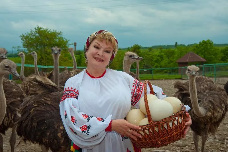 Страусиное ранчо в поселке Молькино Страусиное ранчо в поселке Молькино