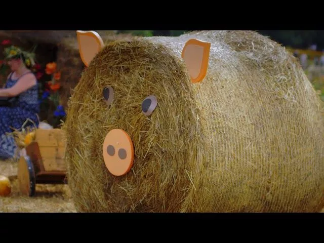 Фестиваль экологического туризма в Лабинске