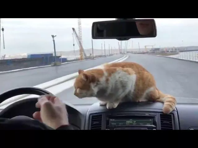 Николай Валуев  на Крымском мосту