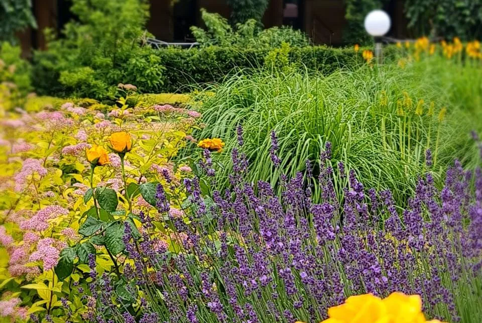 Территория бальнеокурорта наполнена зеленью и цветочными ароматами Территория бальнеокурорта наполнена зеленью и цветочными ароматами