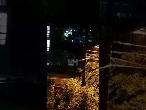 В Сочи завыли сирены 23 июля