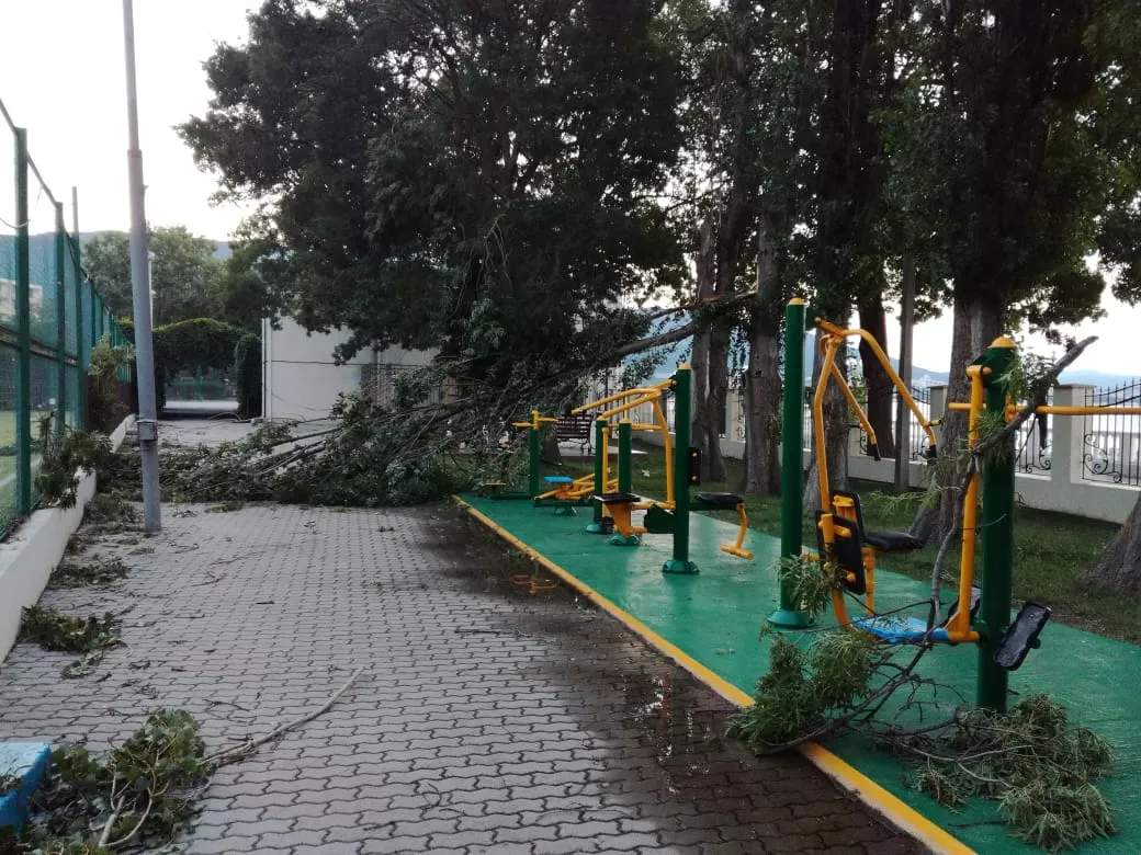 Утро 26 июля 2018 года в Геленджике. Накануне сильный ветер повалил деревья. Утро 26 июля 2018 года в Геленджике. Накануне сильный ветер повалил деревья.