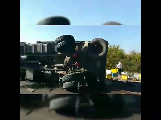 Фура с пчелами перевернулась под Молькино