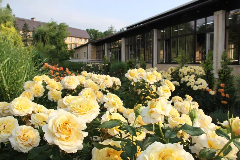 Территория термального курорта Александра Удодова утопает в цветах и зелени.