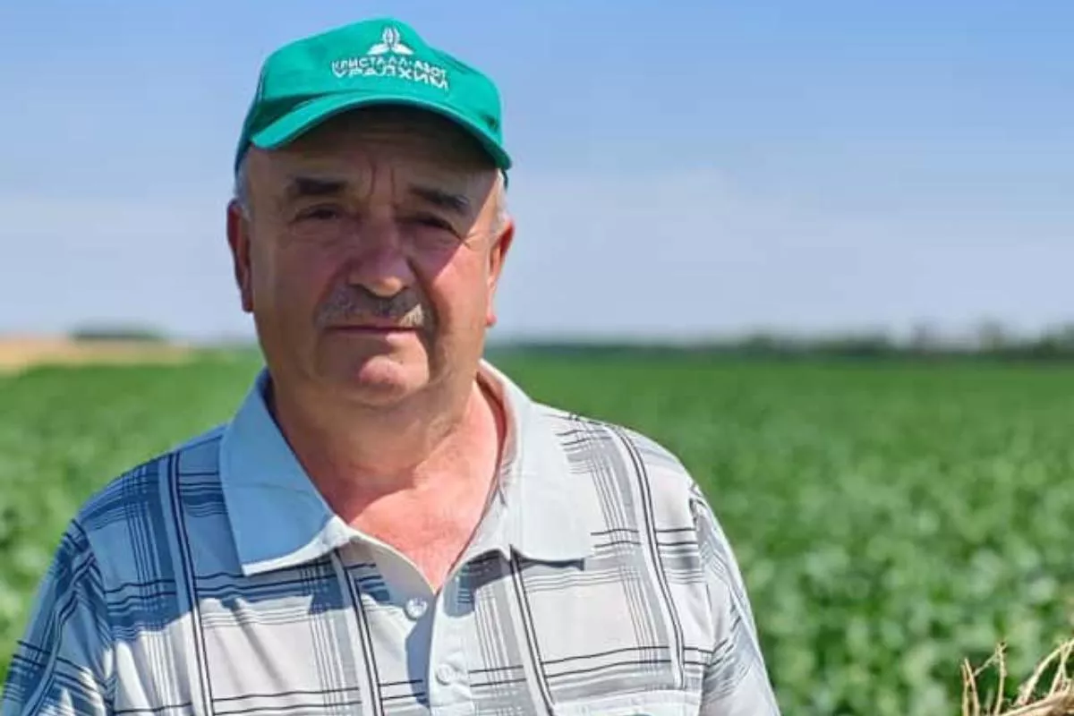 Фермер Алексей Рудица получает высокие урожаи сахарной свеклы. 