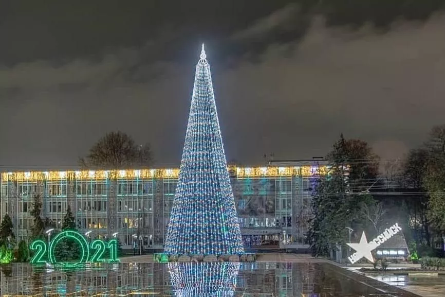 Елки в Новороссиске Елки в Новороссиске