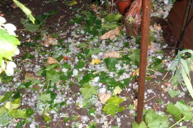 Град в Краснодарском крае повредил поля, дома и машины. Град в Краснодарском крае повредил поля, дома и машины.