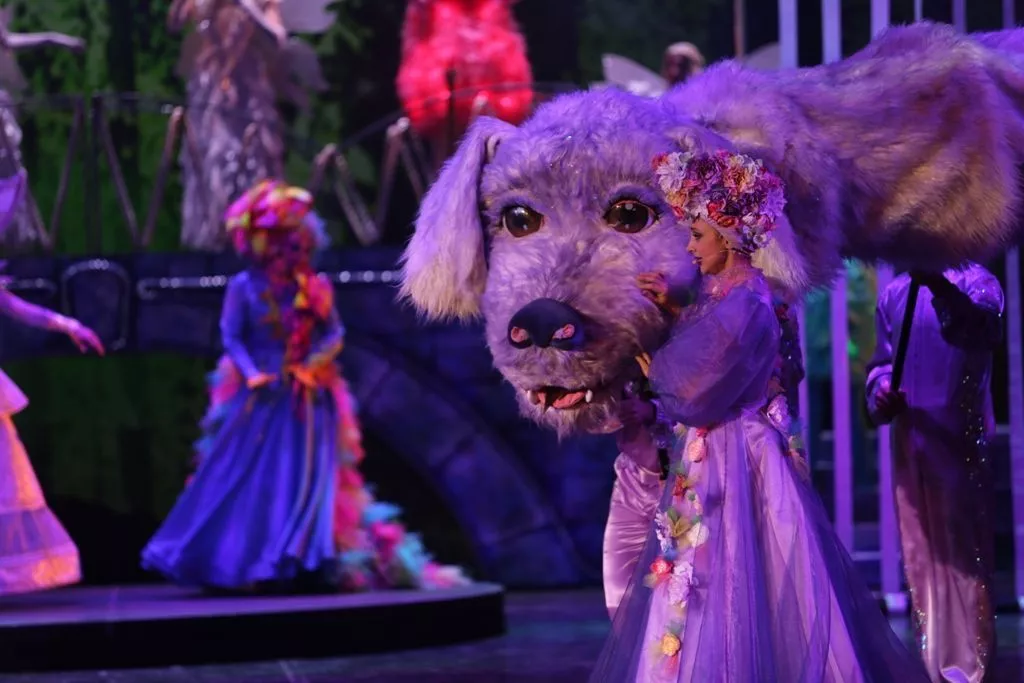 Новогодняя фантазия-25 «Страна волшебных сновидений, или Большое приключение маленькой елочки».